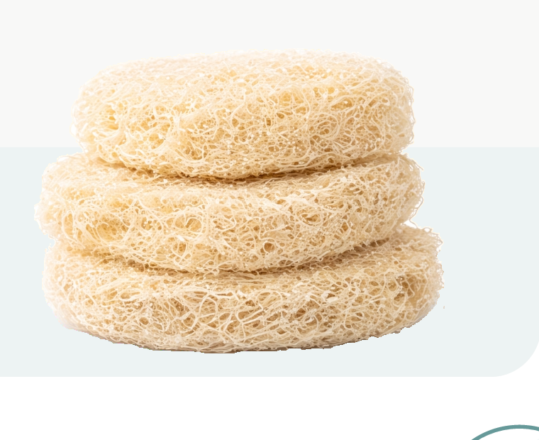 Stack of natural loofah rings