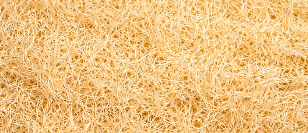 Natural loofah close-up